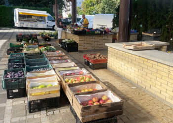 Targ w Sandomierzu / Fot. Grażyna Szlęzak