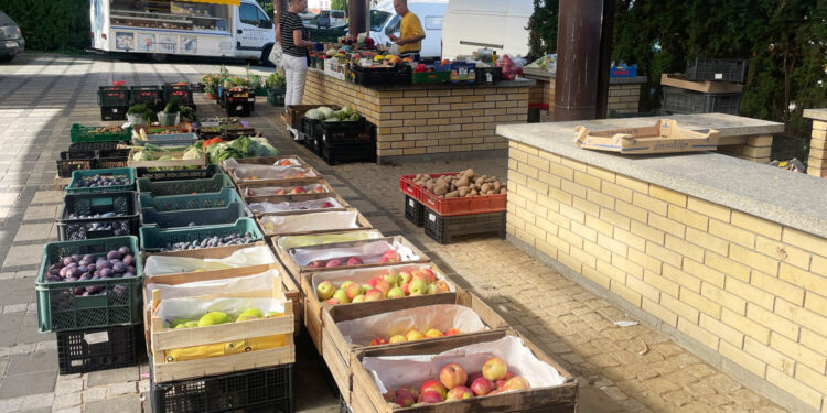 Targ w Sandomierzu / Fot. Grażyna Szlęzak