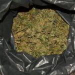 Narkotykowy hurtownik w rękach policji