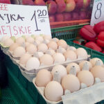 Fot. Marzena Smoręda