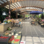 Fot. Grażyna Szlęzak