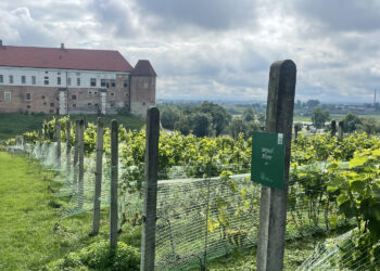 Fot. Grażyna Szlęzak - Radio Kielce