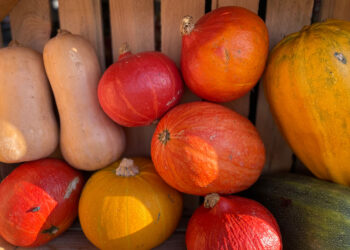 Fot. Magdalena Galas - Klusek