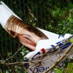 Konkurencja w panice? Niszczą plakaty posłanki PiS - Radio Kielce Zniszczony baner wyborczy Anny Krupki / Fot. Wojciech Domagała