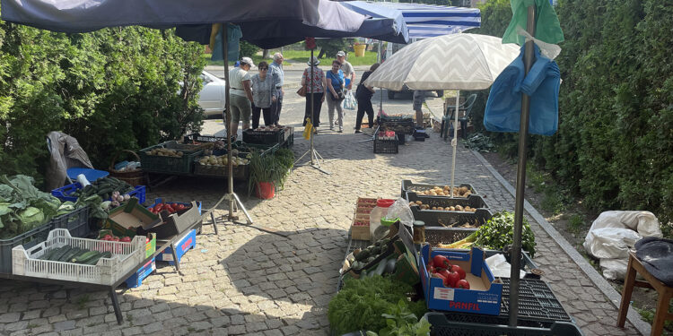 Sandomierz. Targ na Placu 3 Maja / Fot. Grażyna Szlęzak - Radio Kielce