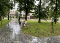 Fot. Radio Kielce
