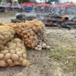 Nie tylko ziemniaki - na znanej imprezie nie zabrakło tradycyjnych, lokalnych potraw - Radio Kielce