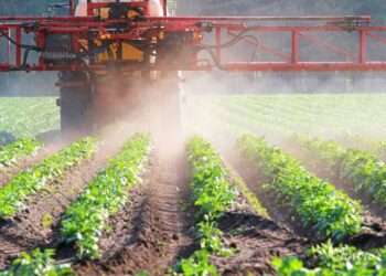 źródło: canva.com