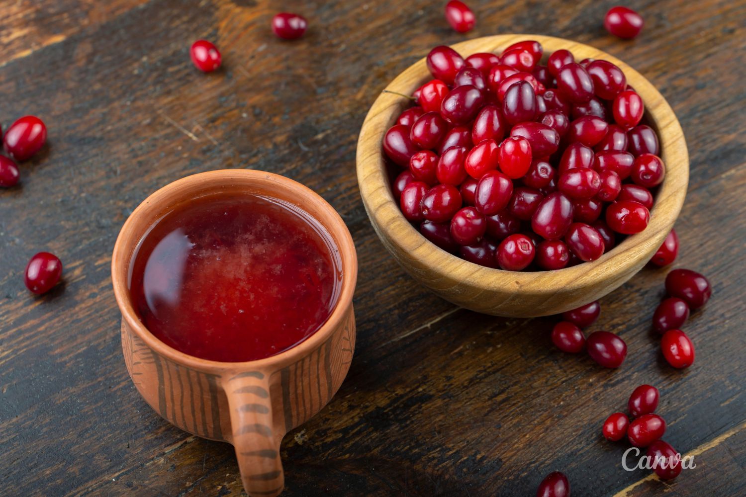 Sekrety ziół - dereń jadalny