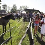 10.09.2023. Tokarnia. Park Etnograficzny. XXIII Świętokrzyskie Dożynki Wojewódzkie / Fot. Jarosław Kubalski - Radio Kielce