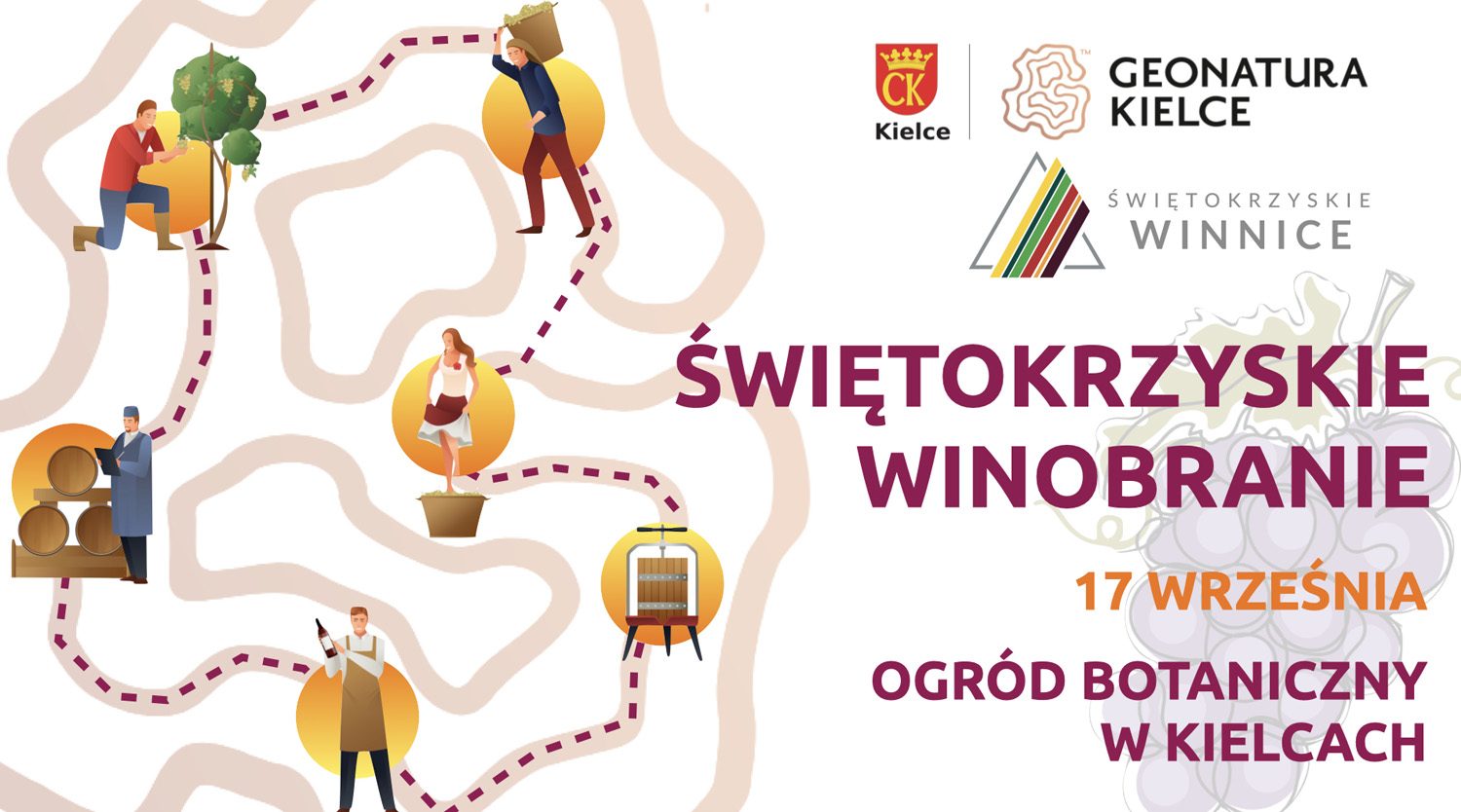Będzie pierwsze winobranie w Ogrodzie Botanicznym w Kielcach