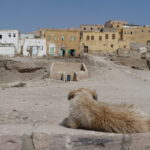 21.10.2023. Muzyczne podróże. Egipt / Fot. Danuta Rasała