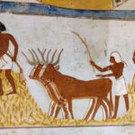 21.10.2023. Muzyczne podróże. Egipt / Fot. Danuta Rasała