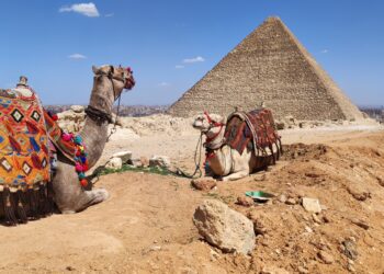 07.10.2023. Muzyczne podróże. Egipt / Fot. Danuta Rasała