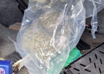 Na zdjęciu: znalezione narkotyki u kielczanina / Fot. świętokrzyska policja