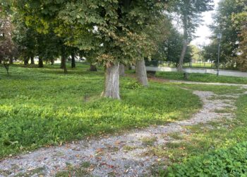 Staszowski park nad zalewem zostanie zrewitalizowany