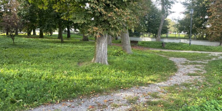 Staszowski park nad zalewem zostanie zrewitalizowany