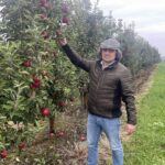 21.10.2023. Rożki. Zbiór jabłek. Na zdjęciu: Antoni Rylski / Fot. Grażyna Szlęzak - Radio Kielce