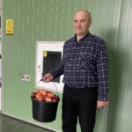 21.10.2023. Kleczanów. Zbiór jabłek. Na zdjęciu: Zbigniew Pieklik / Fot. Grażyna Szlęzak - Radio Kielce