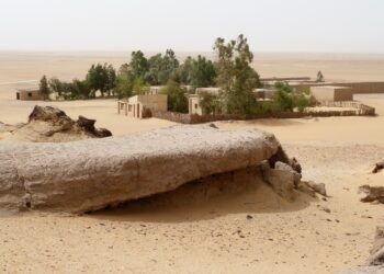 Egipt / Fot. Danuta Rasała