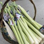 06.10.2023. Końskie. Kampania wyborcza Stanisława Porady - rozdawanie porów / Fot. Magdalena Galas-Klusek - Radio Kielce