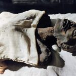 21.10.2023. Muzyczne podróże. Egipt / Fot. Danuta Rasała