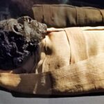 21.10.2023. Muzyczne podróże. Egipt / Fot. Danuta Rasała