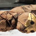 21.10.2023. Muzyczne podróże. Egipt / Fot. Danuta Rasała