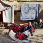 21.10.2023. Muzyczne podróże. Egipt / Fot. Danuta Rasała