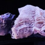 21.10.2023. Muzyczne podróże. Egipt / Fot. Danuta Rasała