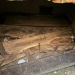 Kolejna tajemnica kościoła pokamedulskiego w Pustelni Złotego Lasu w Rytwianach - Radio Kielce Rytwiany. Krypty w kościele pokamedulskim w Rytwianach / Fot ks. Wiesław Kowalewski, dyrektor Pustelni Złotego Lasu w Rytwianach