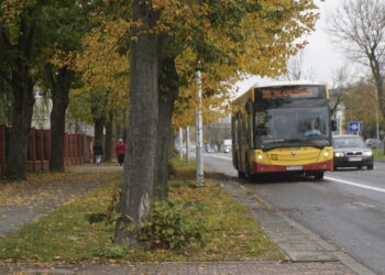 Specjalne autobusy w czasie Wszystkich Świętych