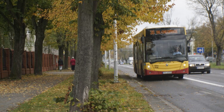 Specjalne autobusy w czasie Wszystkich Świętych