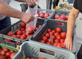 Fot. Emilia Sitarska – Radio Kielce