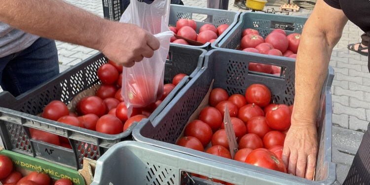 Fot. Emilia Sitarska – Radio Kielce