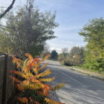 Czostków w gminie Krasocin. / Fot. Dionizy Krawczyński - Radio Kielce