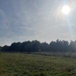 Czostków w gminie Krasocin. / Fot. Dionizy Krawczyński - Radio Kielce