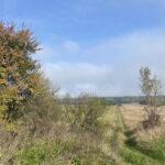 Czostków w gminie Krasocin. / Fot. Dionizy Krawczyński - Radio Kielce