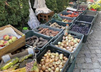 Fot. Grażyna Szlęzak - Radio Kielce