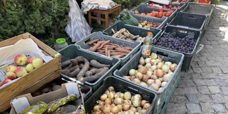 Fot. Grażyna Szlęzak - Radio Kielce