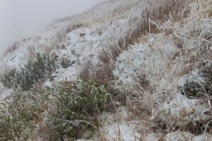 Tatry / Fot. Bugusława Chlipała - TPN