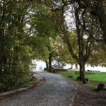 18.10.2023. Kielce. Jesień, drzewa, liście / Fot. Wiktor Taszłow - Radio Kielce