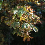 Niż „zabetenował" pogodę. Na jak długo? [PROGNOZA POGODY]