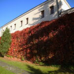 18.10.2023. Kielce. Jesień, drzewa, liście / Fot. Wiktor Taszłow - Radio Kielce