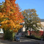 18.10.2023. Kielce. Jesień, drzewa, liście / Fot. Wiktor Taszłow - Radio Kielce