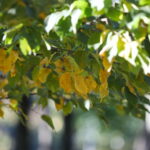 Do kiedy potrwa ocieplenie? [PROGNOZA POGODY]