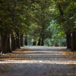 18.10.2023. Kielce. Jesień, drzewa, liście, park, spacer, spacery / Fot. Wiktor Taszłow - Radio Kielce