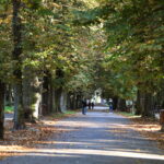 18.10.2023. Kielce. Jesień, drzewa, liście, park, spacer, spacery / Fot. Wiktor Taszłow - Radio Kielce