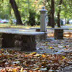 18.10.2023. Kielce. Jesień, drzewa, liście / Fot. Wiktor Taszłow - Radio Kielce