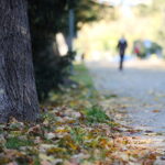 18.10.2023. Kielce. Jesień, drzewa, liście, park, spacer, spacery / Fot. Wiktor Taszłow - Radio Kielce